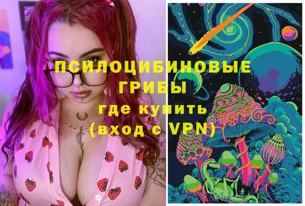 первитин Вяземский