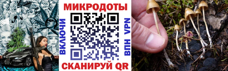 хочу наркоту  Псков  Галлюциногенные грибы GOLDEN TEACHER 