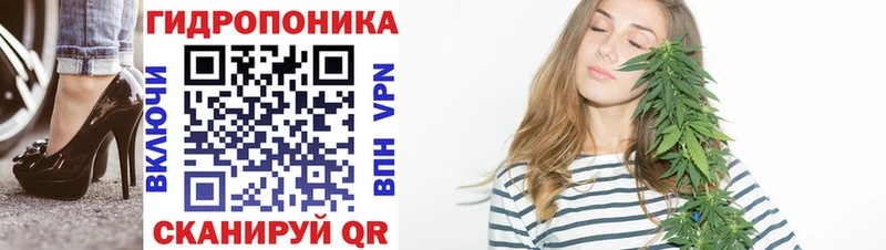блэк спрут как войти как найти закладки Псков Бошки марихуана сатива